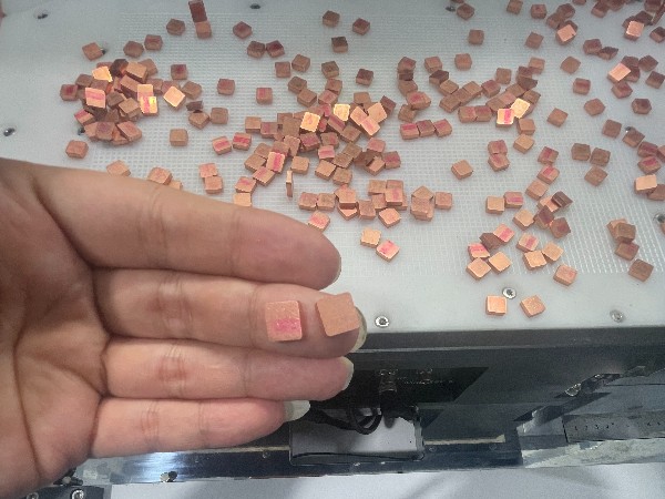 人工成本高？只需一臺擺盤機輕松解決！