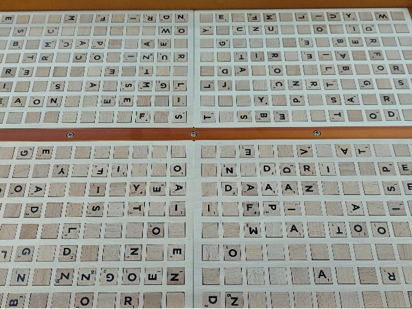 小積木自動(dòng)擺盤解決方案！唯思特整列機(jī)